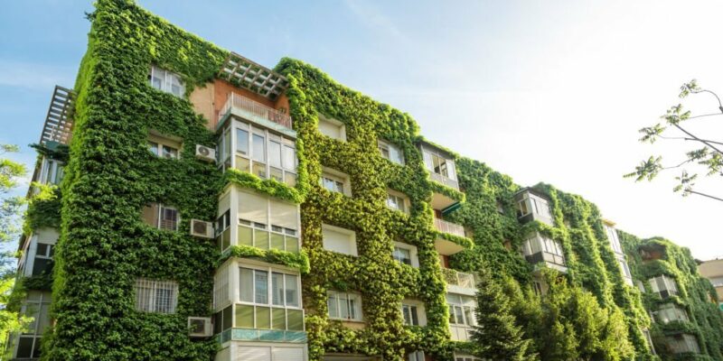 Pentingnya Pertimbangan Lingkungan dalam Arsitektur